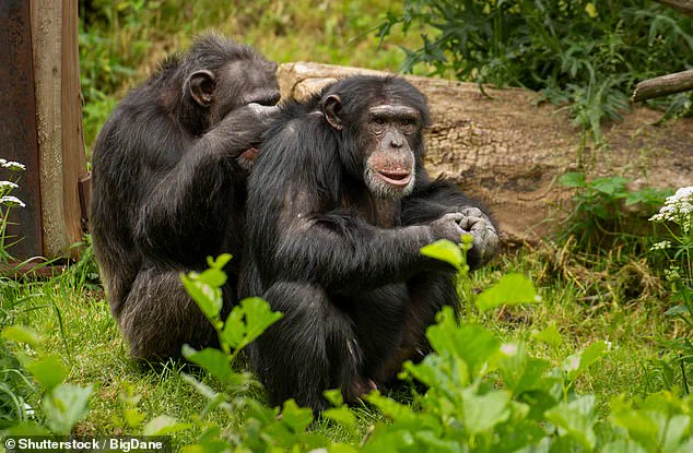 New Study Challenges Assumptions About Same-Sex Behavior in Animals, Revealing It as Widespread and Adaptive Strategy for Survival