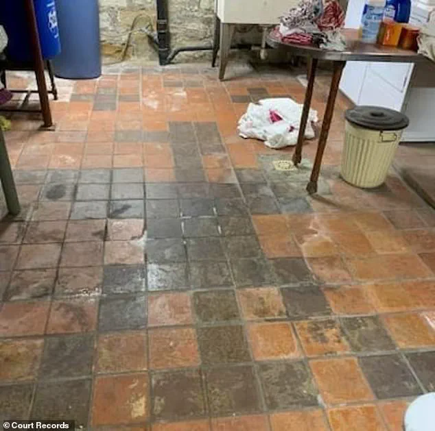 Nightmare Unveiled: Couple Discovers Nazi Symbols Hidden Beneath Their Riverside Home