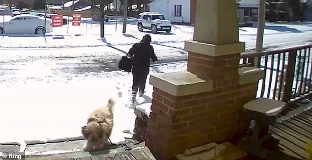 North Carolina Woman's Snowstorm Rescue Triggers Legal Battle
