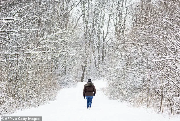 Woman Dies After Slipping on Ice in Maryland Park, Authorities Rule Out Foul Play