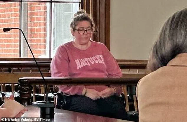 Babysitter Faces Manslaughter Charges After Two-Year-Old Dies from Hypothermia in Unattended Vehicle on Martha's Vineyard