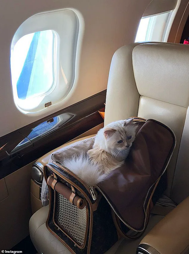 Karl Lagerfeld's €200M Estate: Legal Dispute Over Will, Inheritance Rights, and the Legacy of a Pet