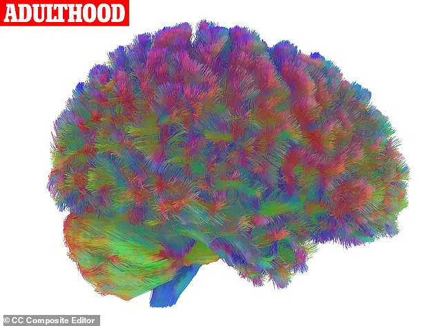 The 40s: A Crossroads of Biological and Societal Pressures