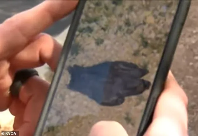 Calculated Suspect in Nancy Guthrie Case: Prior Visit Revealed by FBI Footage