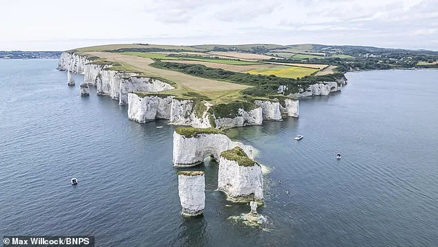 Father's Reckless Decision to Carry Child on Perilous Cliff Path at Old Harry Rocks Ignites Safety Concerns Despite 'No Access' Warnings