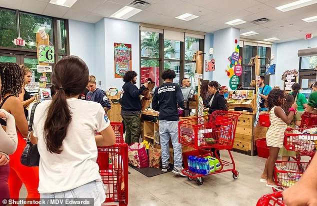New York City Mayor Zohran Mamdani's $70 Million Grocery Store Study Proposal Sparks Controversy