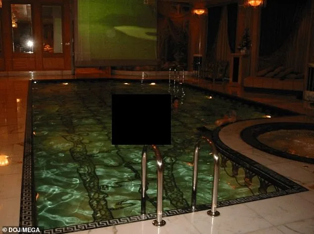 Bill Clinton's Hot Tub Photo Resurfaces in Epstein Files Deposition