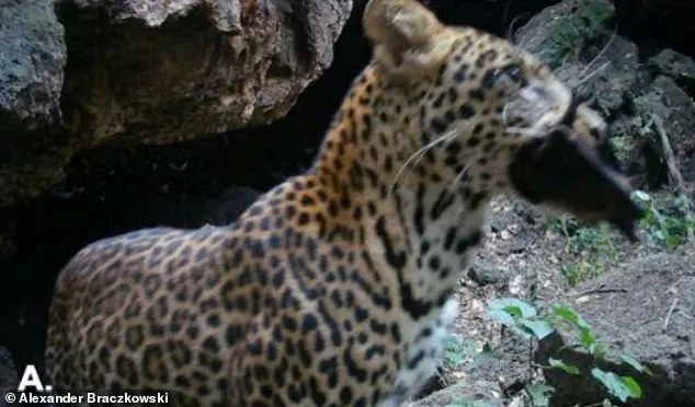 Hidden Battleground in Ugandan Cave Reveals Pathway for Deadly Marburg Virus to Leap to Humans