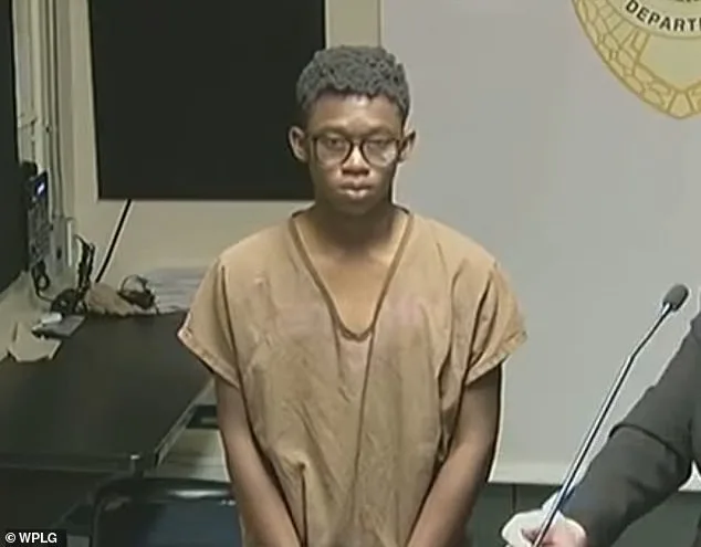 Brutal Sexual Assault Alleged Against 12-Year-Old Girl by Two Miami Teens