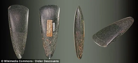 Ancient Hungarian Skeleton Challenges Gender Norms in Prehistoric Societies
