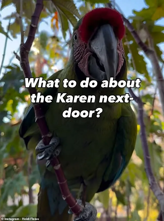 Heidi Fleiss's Noisy Macaws Spark Las Vegas Neighborhood Feud