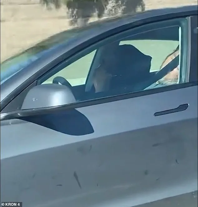 Sleeping Elders in Autonomous Tesla Spark Concerns Over Self-Driving Safety