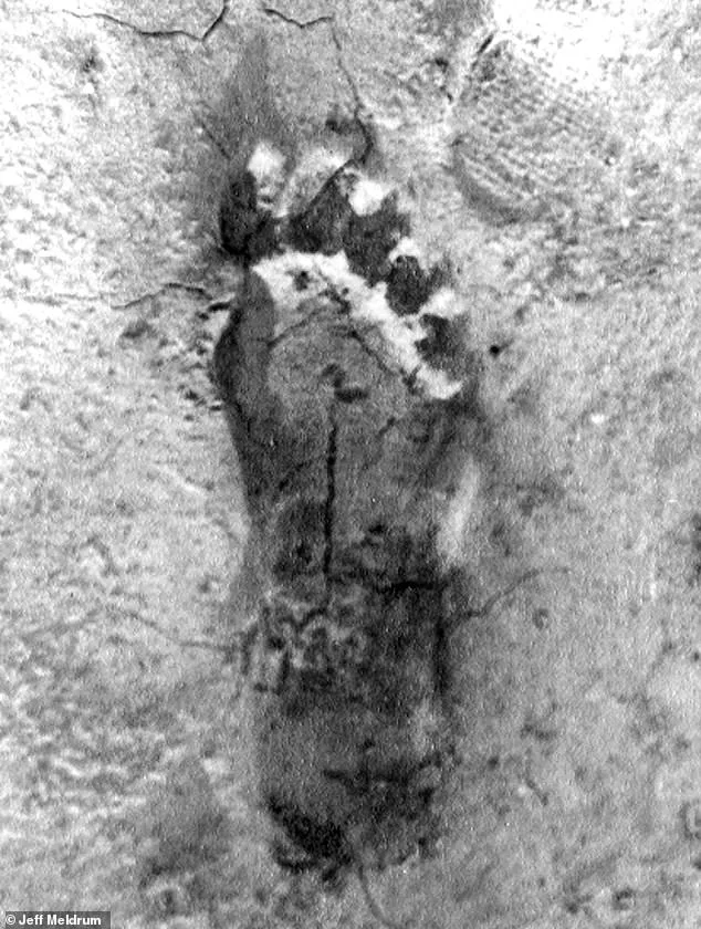 Unprecedented Bigfoot Flap in Ohio Sparks Mystery After Eight Sightings Reported Over Four Days