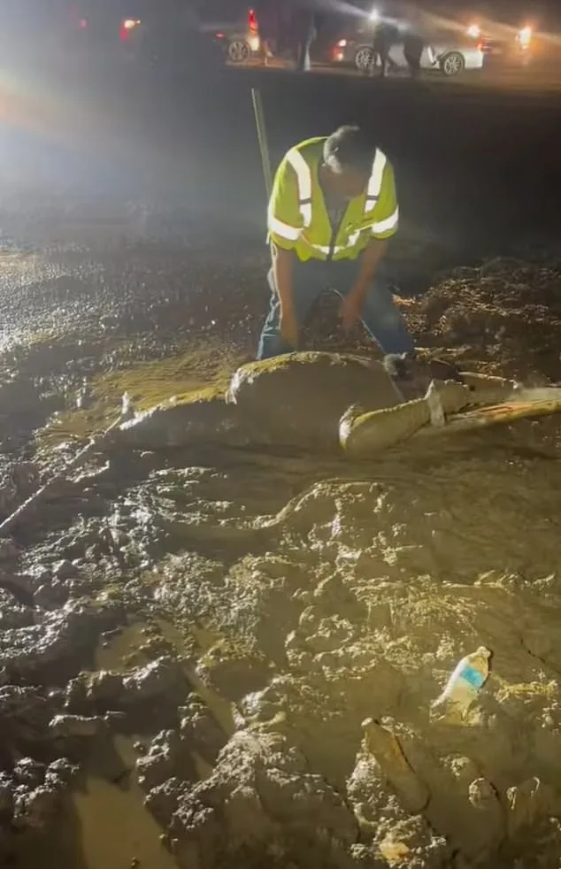 Bystanders Save Mississippi Man Trapped in Quicksand During ATV Ride