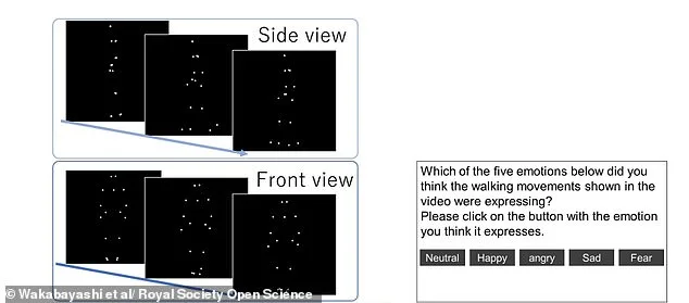 Walk Before Words: Study Uncovers Emotional Clues in Gait