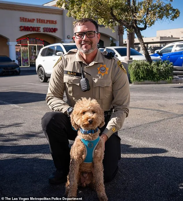 Bench Warrant Issued for Woman Accused of Abandoning Service Dog at Las Vegas Airport