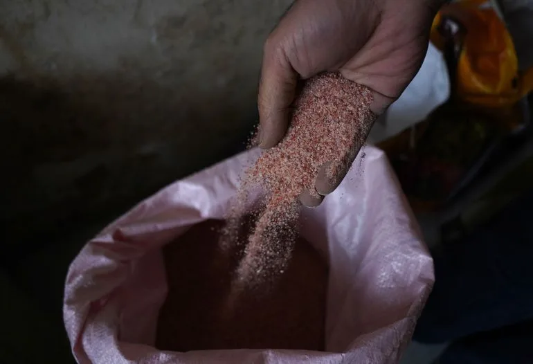 Punjab Farmers Face Existential Crisis as Fertiliser Prices Soar Amid Geopolitical Tensions