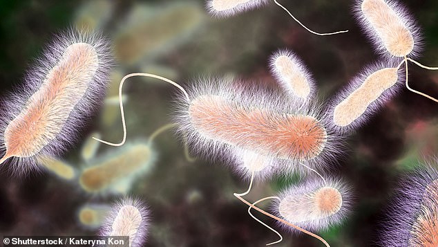 Legionnaires' disease surges across US as summer heat hits.