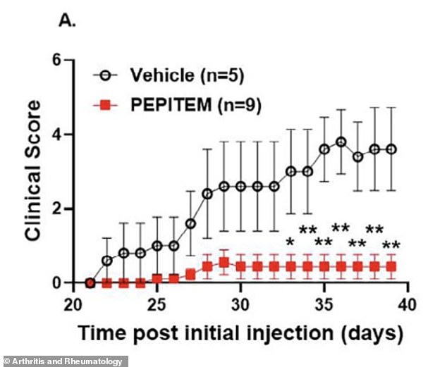 Natural peptide PEPITEM may offer safer arthritis treatment than standard drugs.