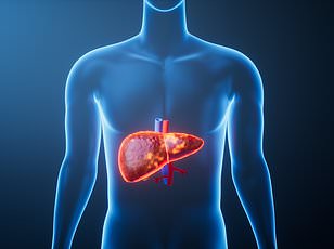 New OBSCORE Tool Predicts Risk for 18 Obesity-Linked Diseases